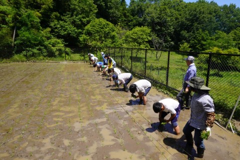 愛岐の里山たいけん隊