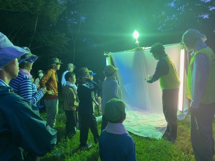 夜の東山の森で虫たちを灯火採集！