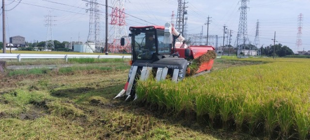 【 港区役所南陽支所連携】南陽地区の米作りから地産地消を学ぼう